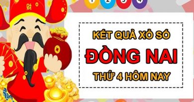 Nhận định KQXS Đồng Nai 17/11/2021 chi tiết nhất