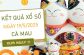 Thống kê SXCM 19/5/2025 hôm nay đặc biệt đầu đuôi